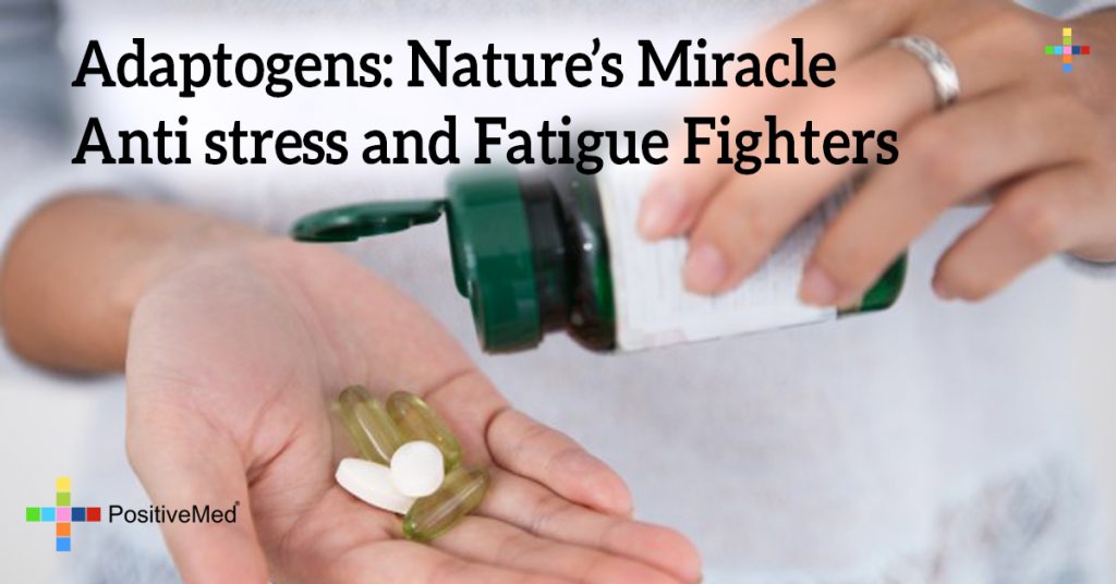 Adaptogens: Nature's Miracle Anti stress and Fatigue Fighters