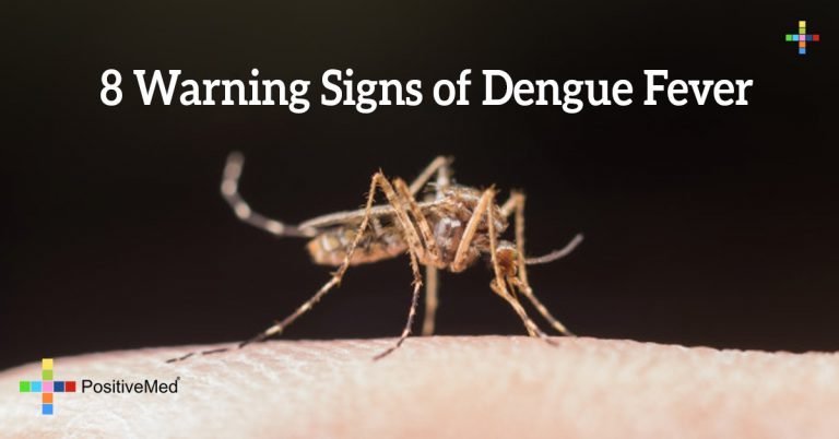 8 Warning Signs of Dengue Fever 8 Warning Signs of Dengue Fever