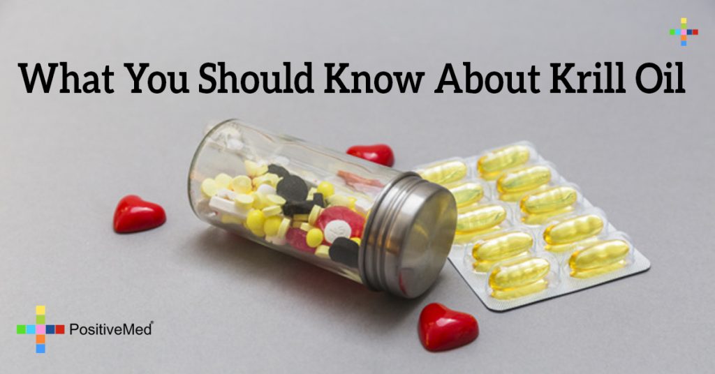What You Should Know About Krill Oil