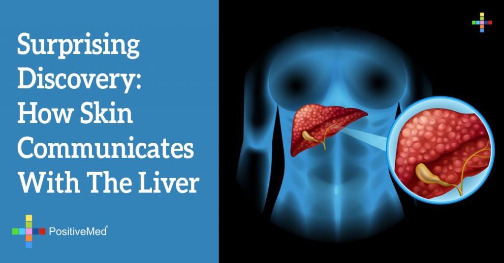 Surprising Discovery: How Skin Communicates With The Liver