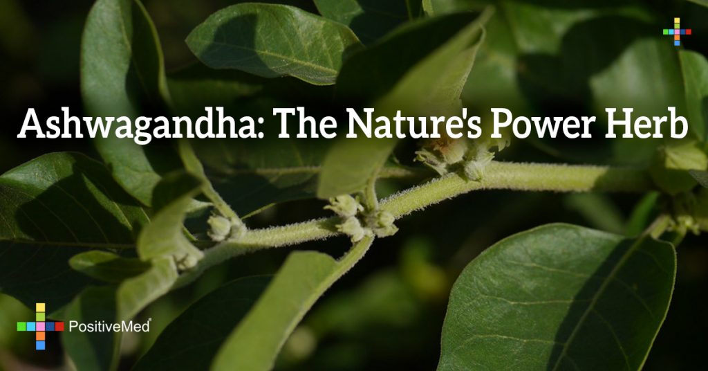 Ashwagandha: The Nature's Power Herb