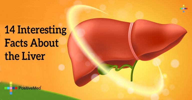 14 Interesting Facts About the Liver