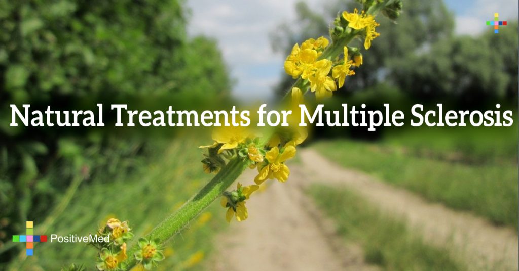 Natural Treatments for Multiple Sclerosis