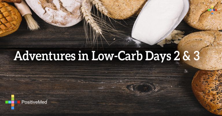 Adventures in Low-Carb Days 2 & 3