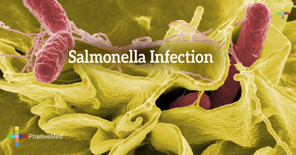 Salmonella Infection