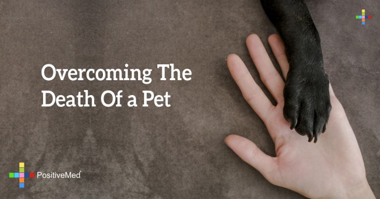 Overcoming the Death of a Pet Overcoming the Death of a Pet
