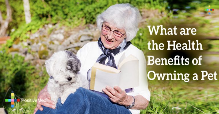 What are the Health Benefits of Owning a Pet
