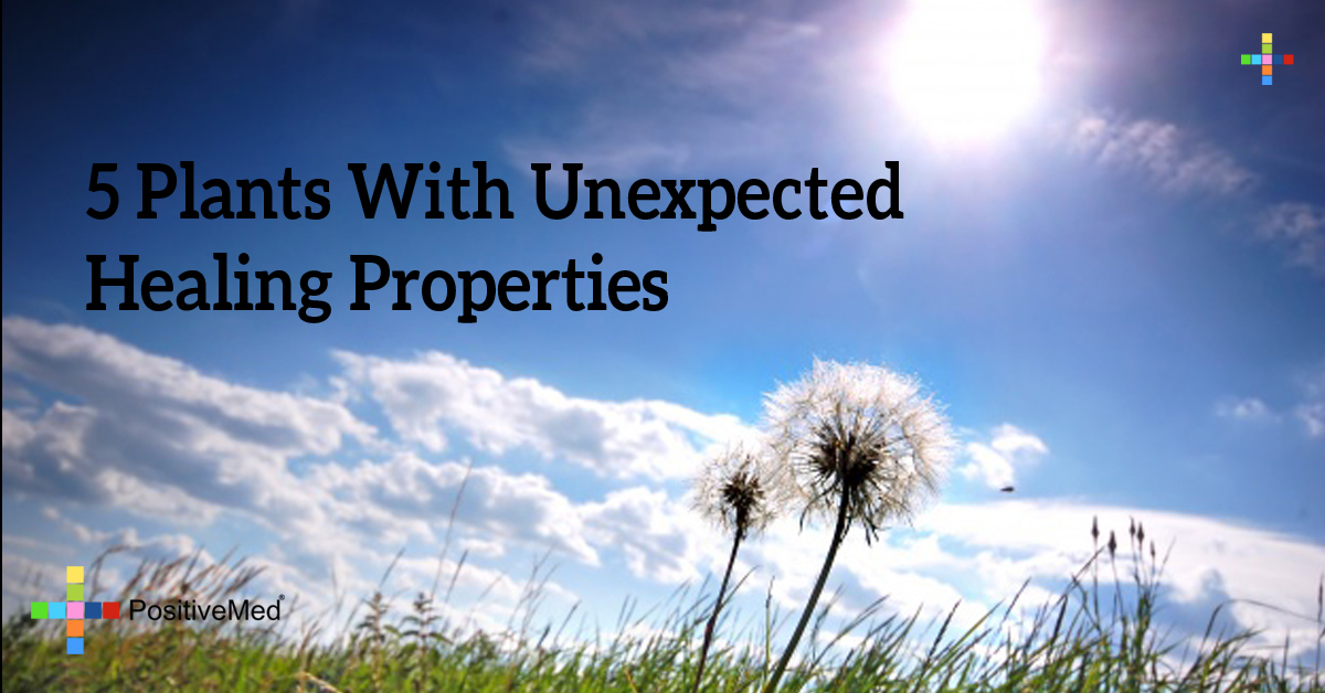 5 Plants with Unexpected Healing Properties