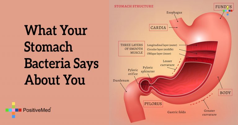 What Your Stomach Bacteria Says About You
