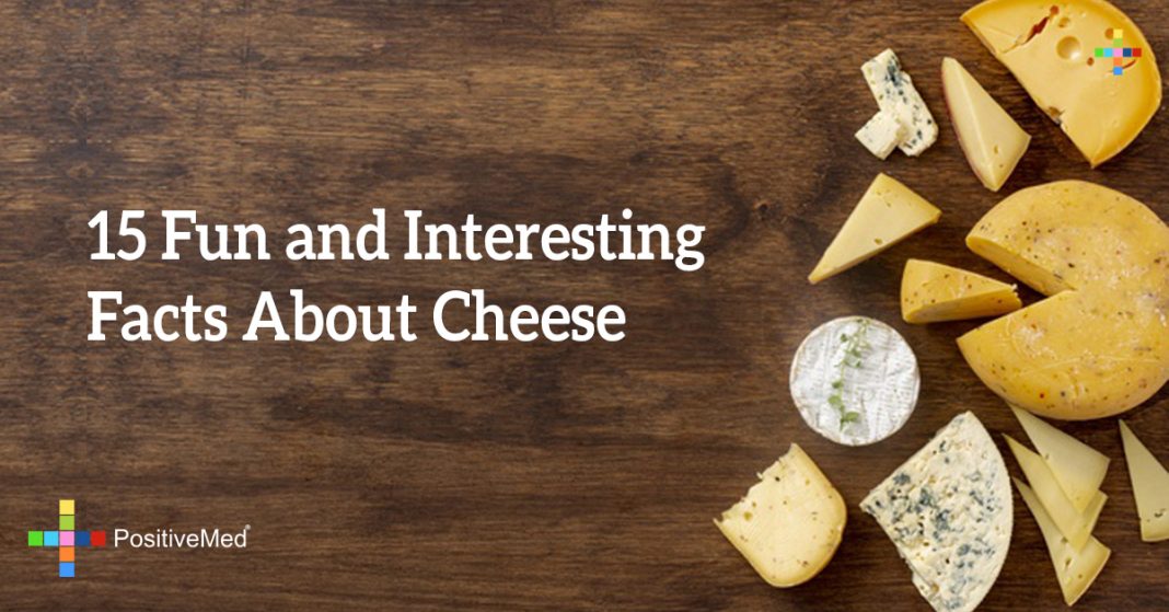 15 Fun and Interesting Facts about Cheese