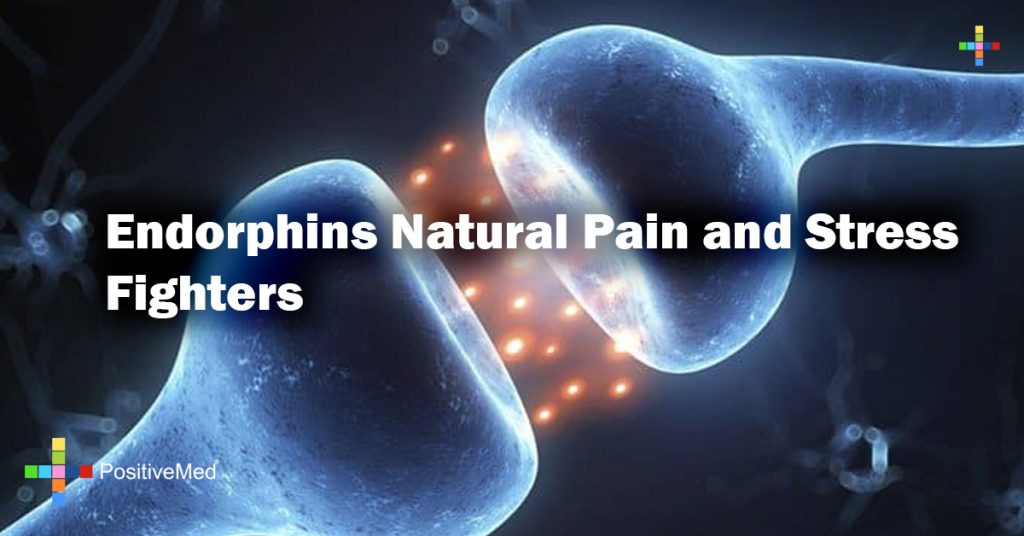 Endorphins Natural Pain and Stress Fighters