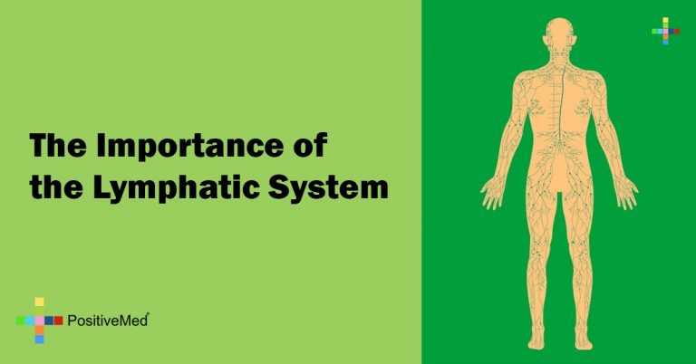 The Importance of the Lymphatic System