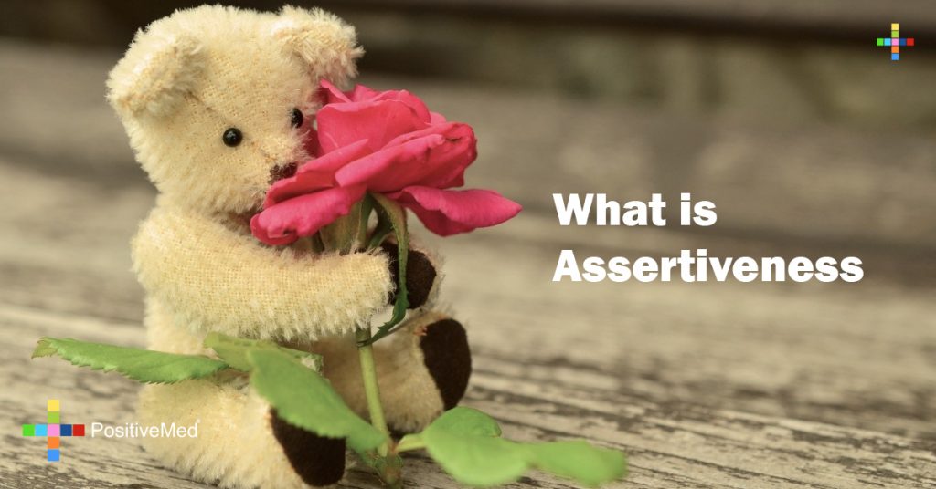 What is Assertiveness