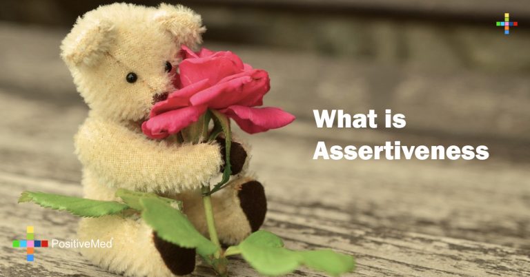 What is Assertiveness What is Assertiveness