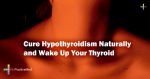 Cure-Hypothyroidism-Naturally-and-Wake-Up-Your-Thyroid