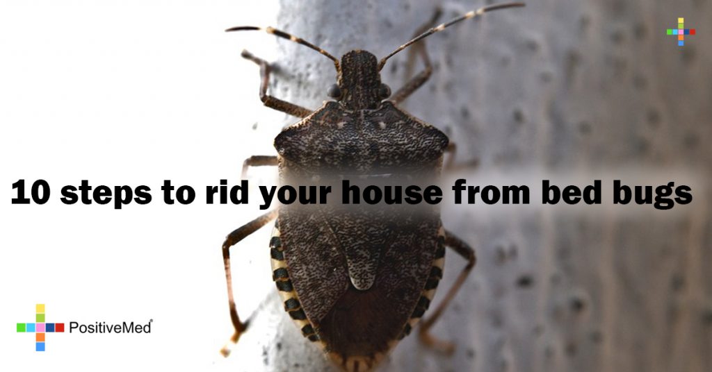 10 steps to rid your house from bed bugs