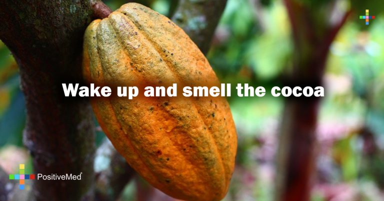 Wake up and smell the cocoa