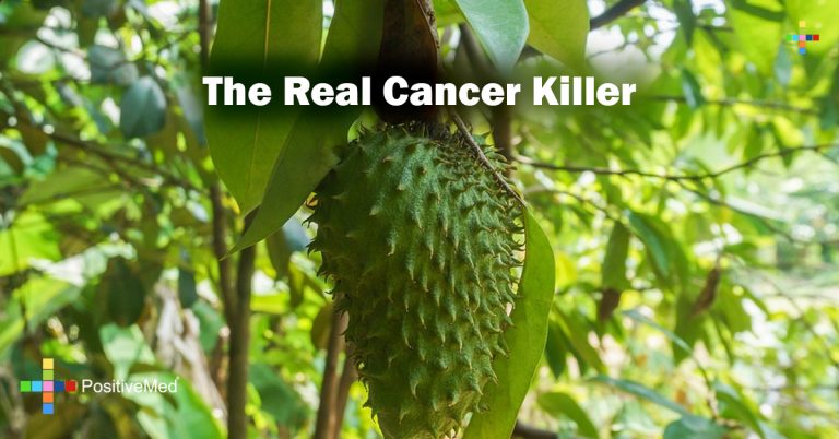 The Real Cancer Killer The Real Cancer Killer