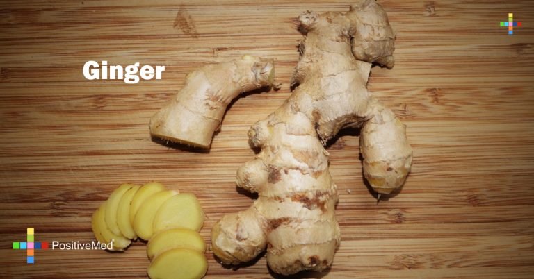 Ginger Ginger