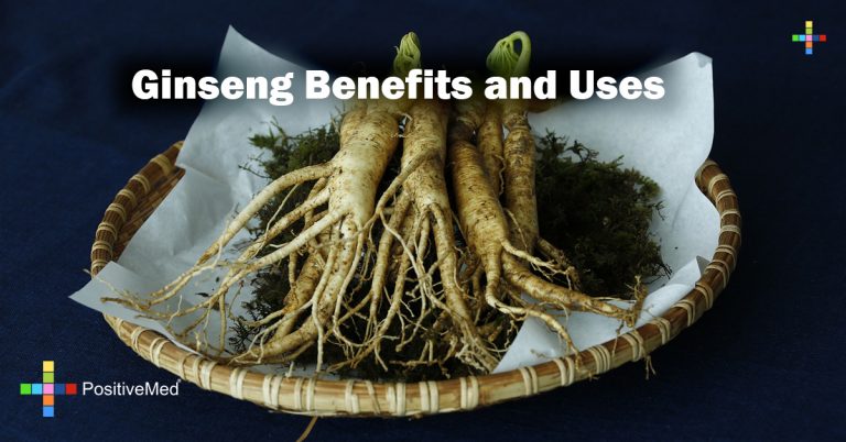 Ginseng Benefits and Uses Ginseng Benefits and Uses