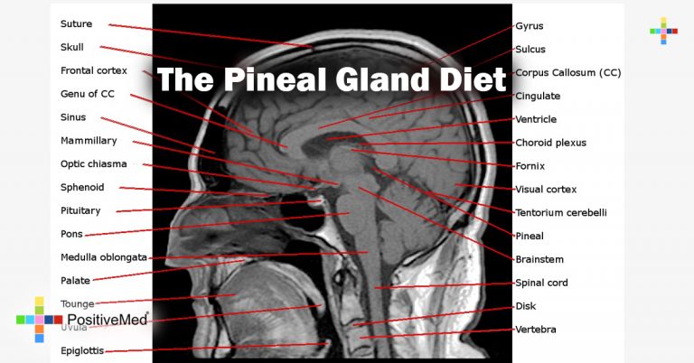 The Pineal Gland Diet