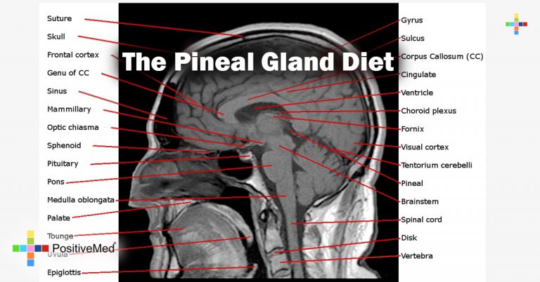 The Pineal Gland Diet The Pineal Gland Diet
