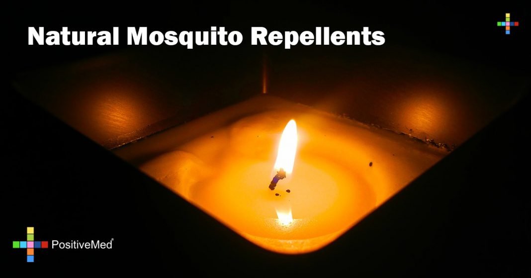 Things to avoid the attract mosquitoes and natural repellents