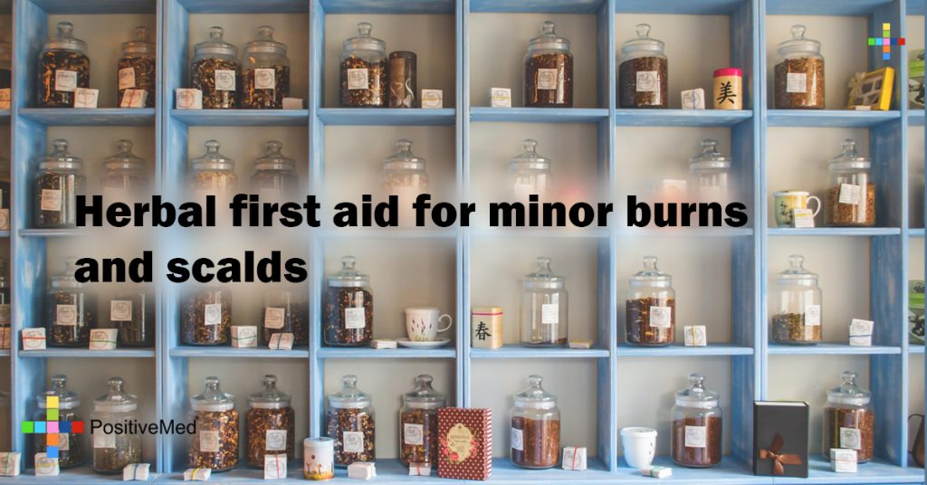 Herbal first aid for minor burns and scalds