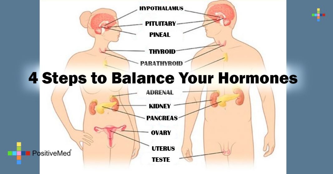 You are your balance of your hormones