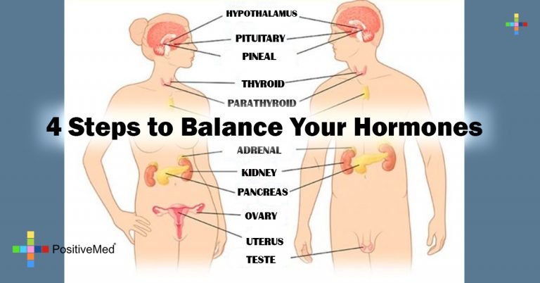 4 Steps to Balance Your Hormones 4 Steps to Balance Your Hormones