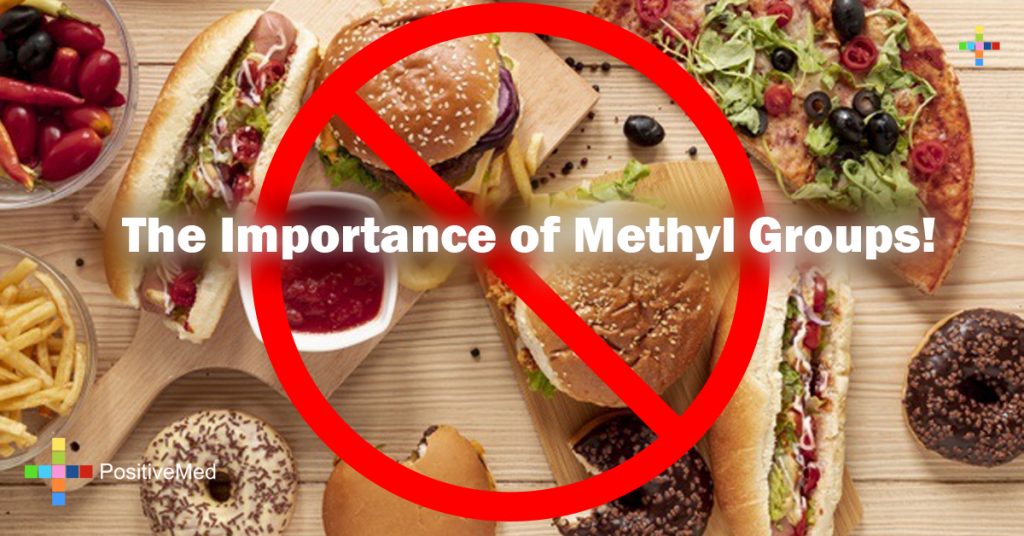 The Importance of Methyl Groups!