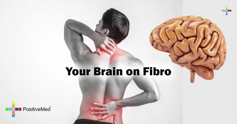 Your Brain on Fibro Your Brain on Fibro