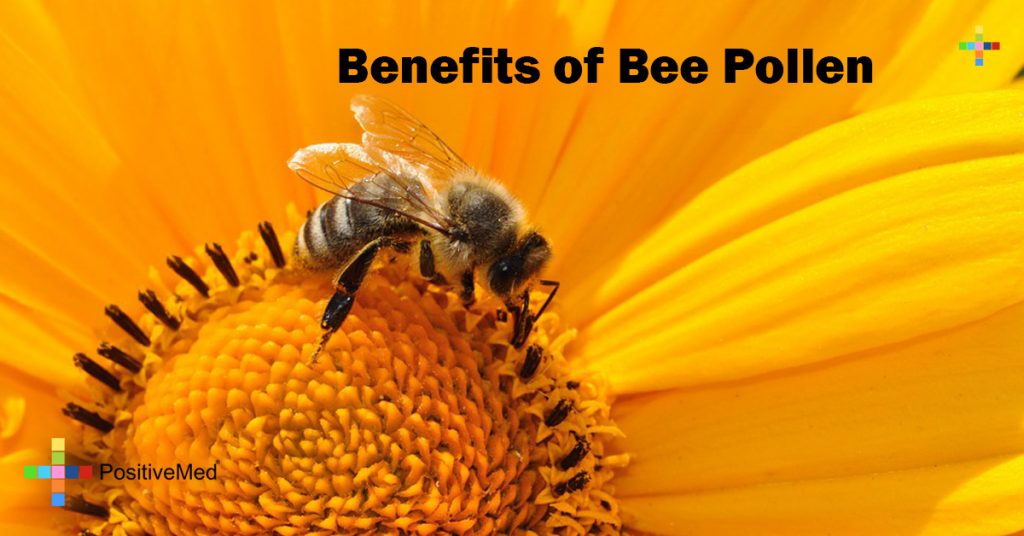 Benefits of Bee Pollen