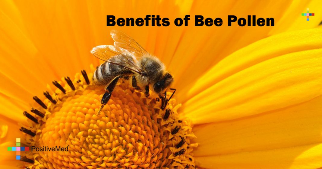 Benefits of Bee Pollen