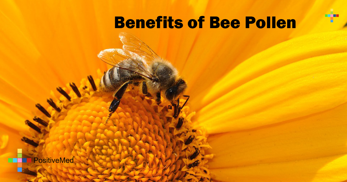 bee pollen benefits for breast cancer bee pollen benefits for breast cancer
