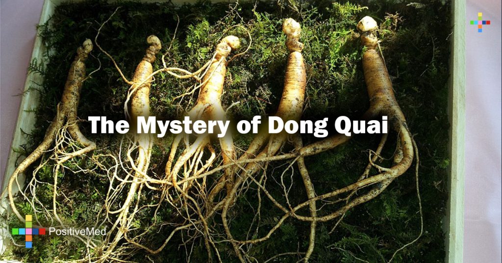The Mystery of Dong Quai