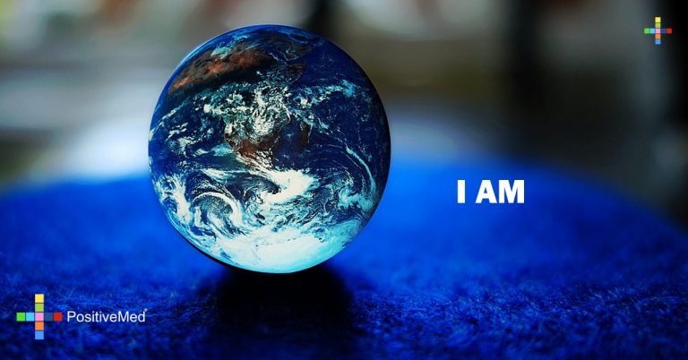 I AM I AM