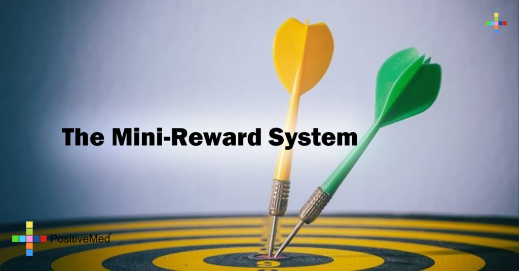 The Mini-Reward System