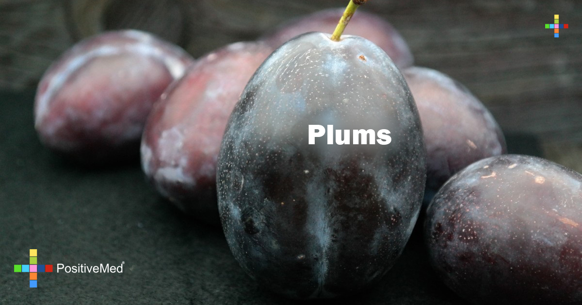 sb plums