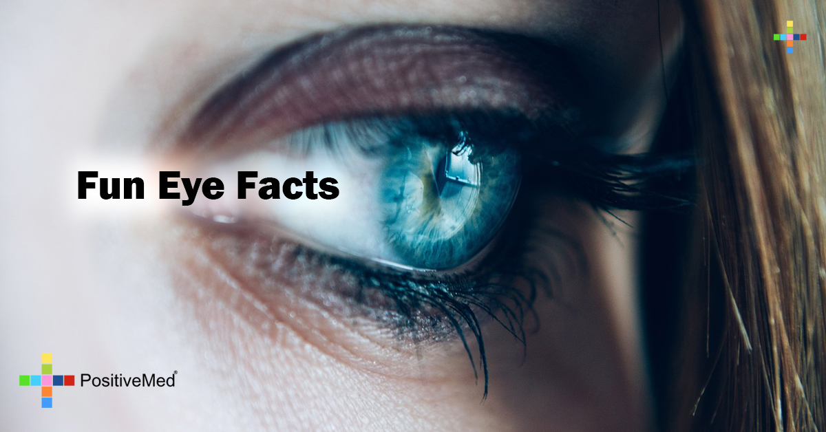 Fun Eye Facts PositiveMed