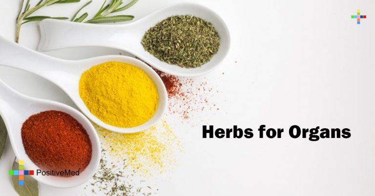 Herbs for Organs Herbs for Organs