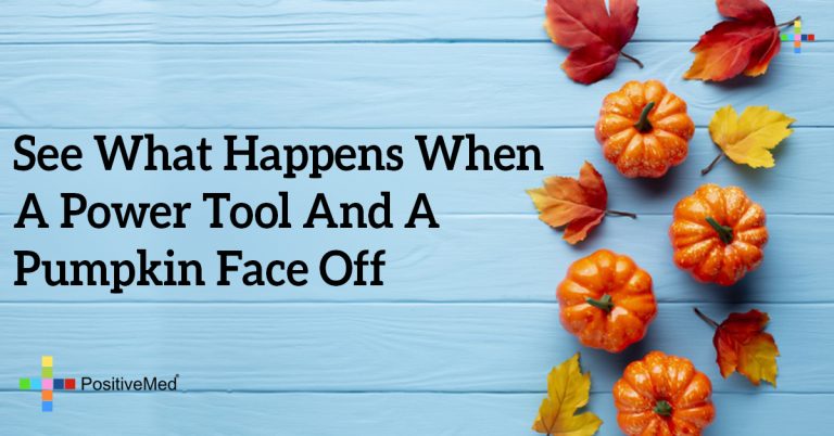 See What Happens When A Power Tool And A Pumpkin Face Off See What Happens When A Power Tool And A Pumpkin Face Off