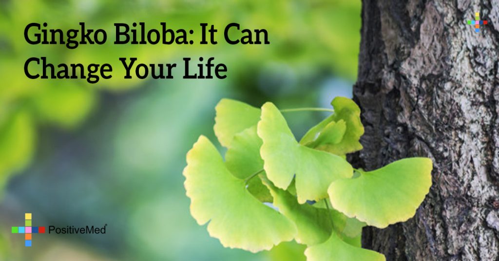 Gingko Biloba: It Can Change Your Life