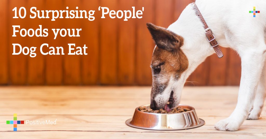 10 Surprising 'People' Foods your Dog Can Eat