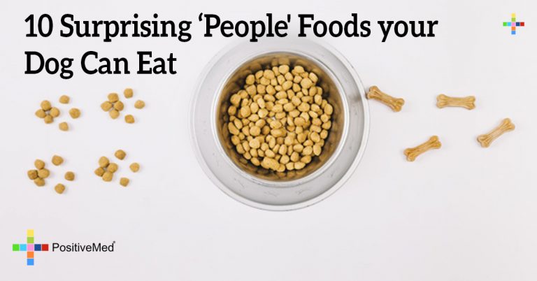 10 Foods Your Dog Should Never Eat 10 Foods Your Dog Should Never Eat