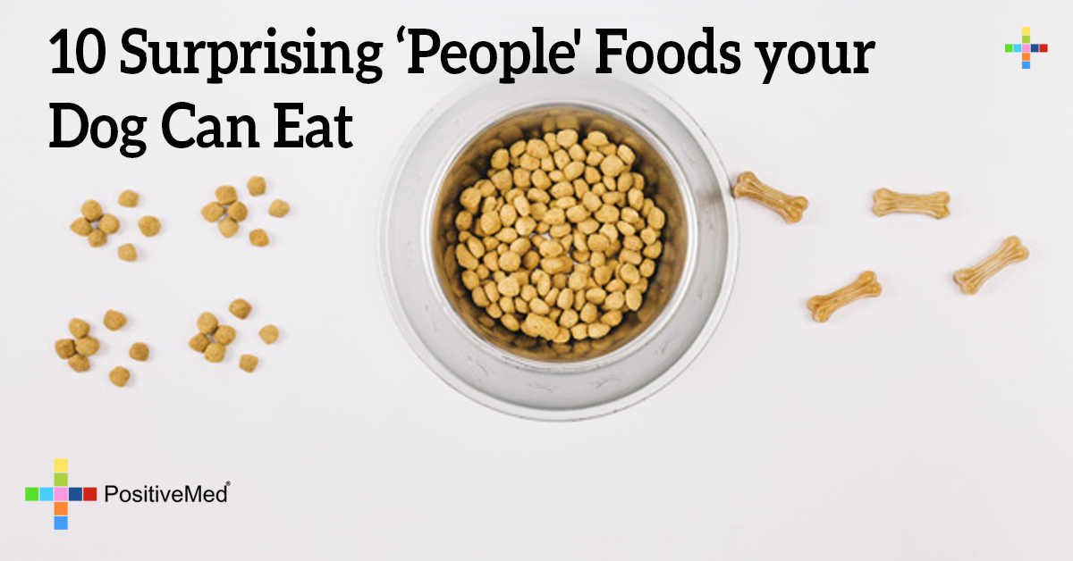 10 Foods Your Dog Should Never Eat