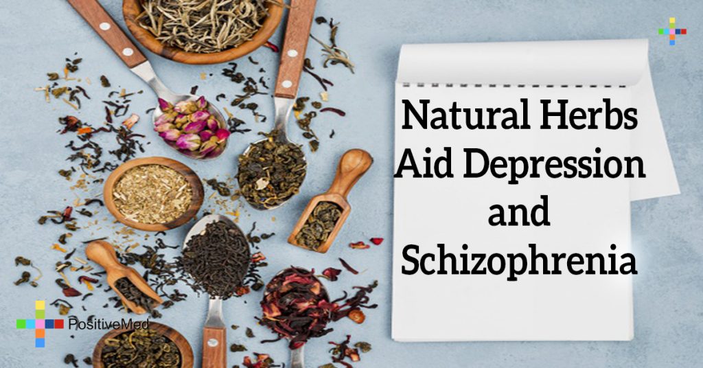 Natural Herbs Aid Depression and Schizophrenia