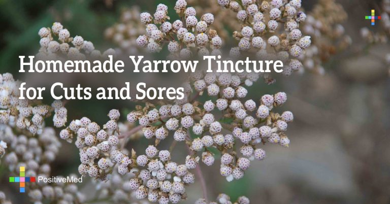 Homemade Yarrow Tincture for Cuts and Sores Homemade Yarrow Tincture for Cuts and Sores