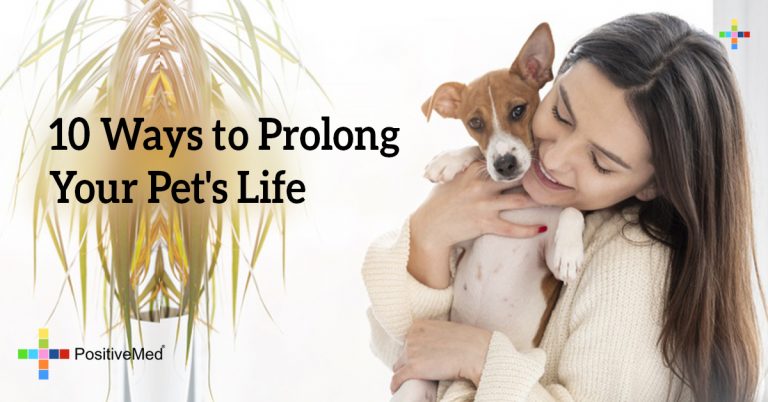 10 Ways to Prolong Your Pet’s Life