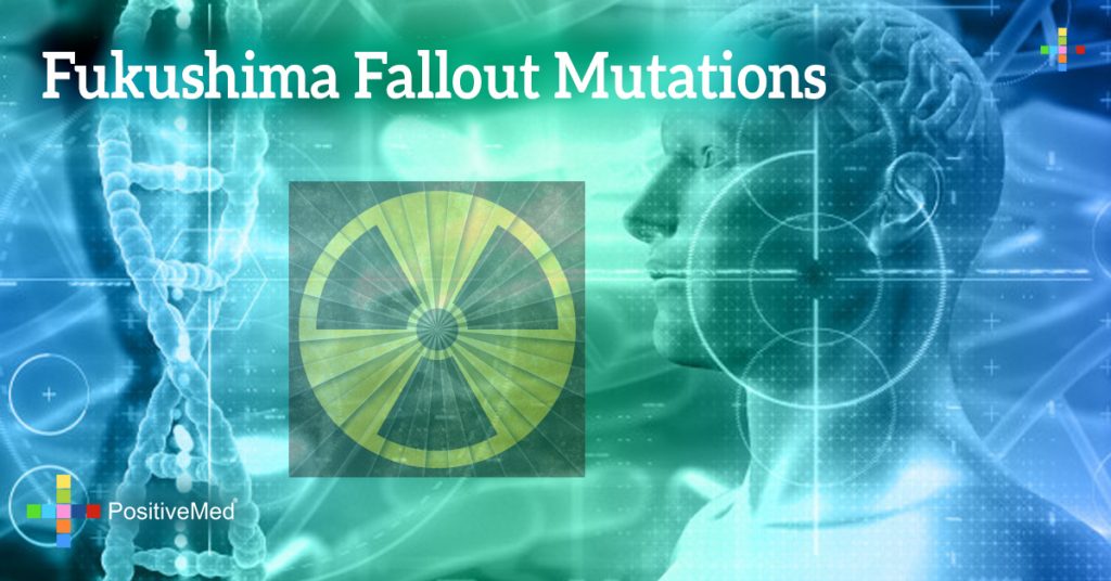 Fukushima Fallout Mutations